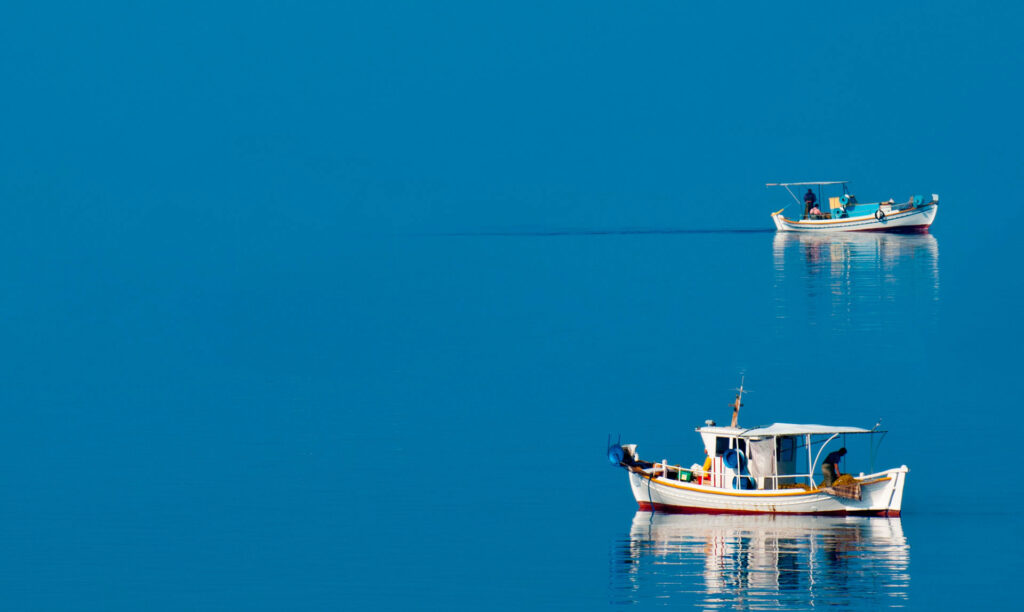 porto sant'elpidio mare pesce